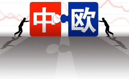 多國(guó)勸阻難擋歐盟決定，對(duì)華加征關(guān)稅引發(fā)連鎖反應(yīng)，中方24小時(shí)內(nèi)強(qiáng)硬回應(yīng)彰顯技術(shù)推廣信心