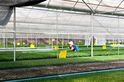 楚雄:經濟發展提檔升級 團結奮進再譜新篇