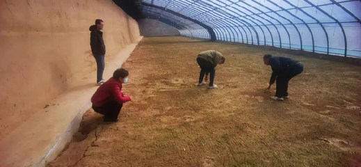 蘭州市城關區:農技服務在田間 春耕備耕正當時