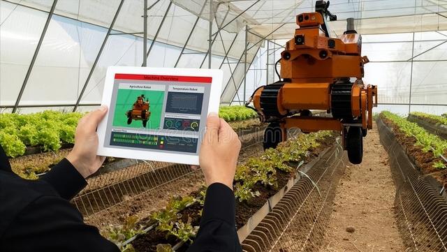 未來農村的發展格局:養老服務,高科技農業,機械化,自動化