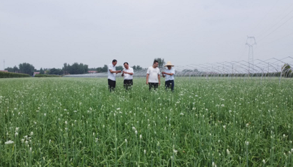 河南柘城:科技特派員送&ldquo;技&rdquo;下鄉