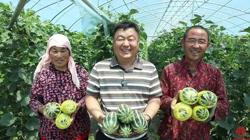 高官寨街道名優特農產品亮相2024章丘區特色產品展銷推介會