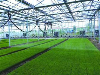 從幾戶農(nóng)民幾臺農(nóng)機(jī)合伙替他人翻地播種,到建育苗基地為水稻種植戶提供秧苗,再到自己租地種地-- 承接土地流轉(zhuǎn) 農(nóng)機(jī)合作社做大了__中國青年網(wǎng)