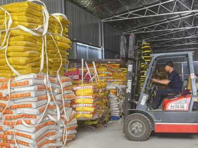 綠色農(nóng)資進萬家 科技服務(wù)助豐收--青島市供銷社開展2025年綠色農(nóng)資下鄉(xiāng)活動