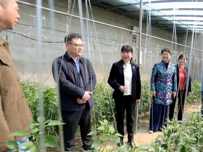 蚌埠市&ldquo;巾幗科技助農(nóng)直通車&rdquo;開進五河縣朱頂鎮(zhèn)