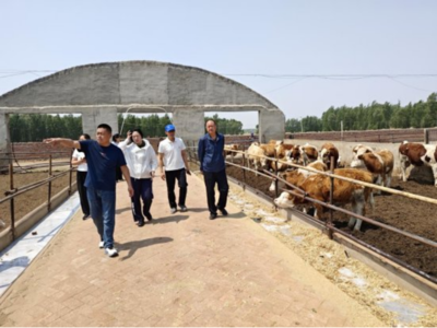 科技賦能 點亮北疆創(chuàng)新之路--2025年內(nèi)蒙古科技活動周側(cè)記