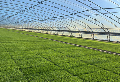 稼穡篤行 北大荒集團黑龍江八五四農(nóng)場現(xiàn)代農(nóng)業(yè)科技服務(wù)中心實習(xí)感悟