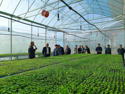 東川區(qū)現(xiàn)代農(nóng)業(yè)產(chǎn)業(yè)園建成投入運行，賦能農(nóng)業(yè)科技服務(wù)新篇章