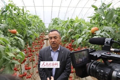 深耕研發(fā) 孕育希望——壽光市政協(xié)委員劉樹森的“種業(yè)夢”與農(nóng)業(yè)科技服務