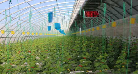 聚焦農業科技服務 助推現代農業發展的關鍵引擎